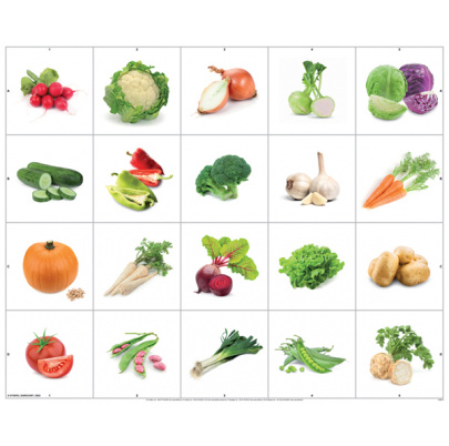 Obojstranná tematická podložka - Ovocie a zelenina