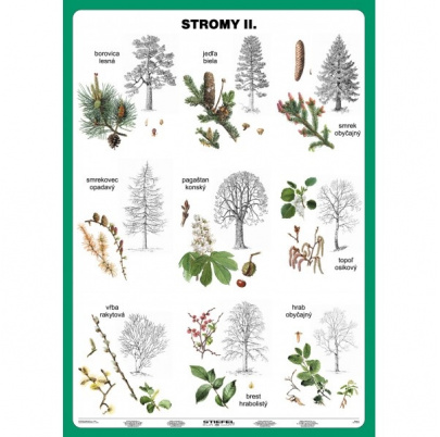 Stromy, I. a II. diel (A5)