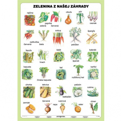 Ovocie a zelenina z našej záhrady (A5)