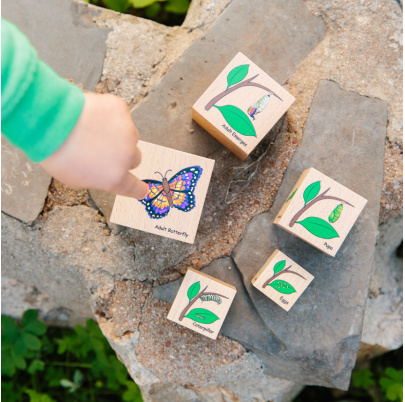 Životný cyklus na kockách