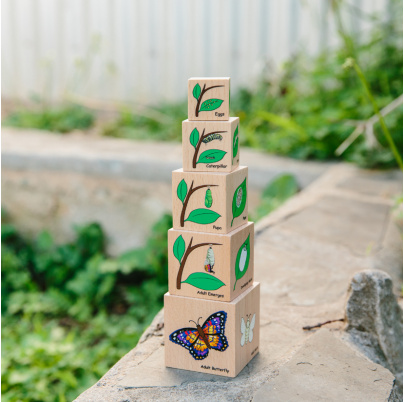 Životný cyklus na kockách