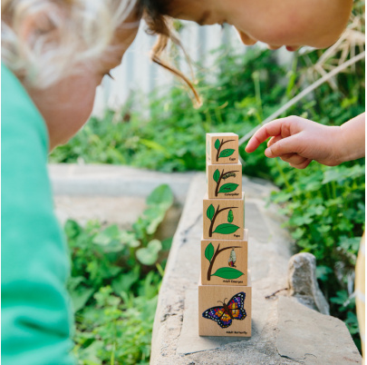 Životný cyklus na kockách