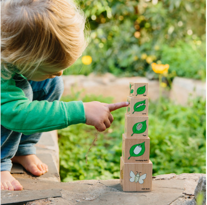 Životný cyklus na kockách