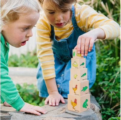 Životný cyklus na kockách