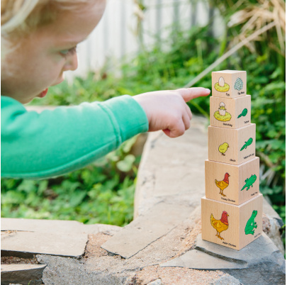 Životný cyklus na kockách