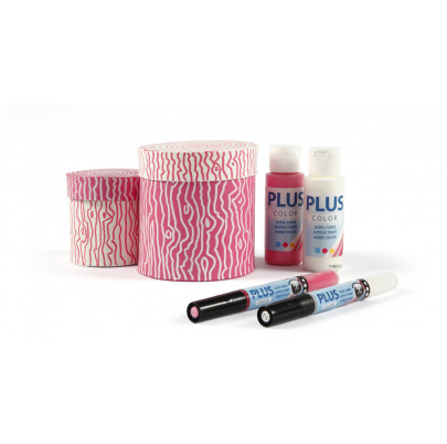 PLUS COLOR CRAFT PAINT (12 x 250 ml)