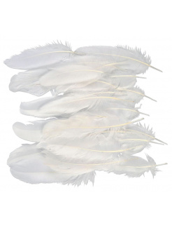 Jemné biele husacie perie