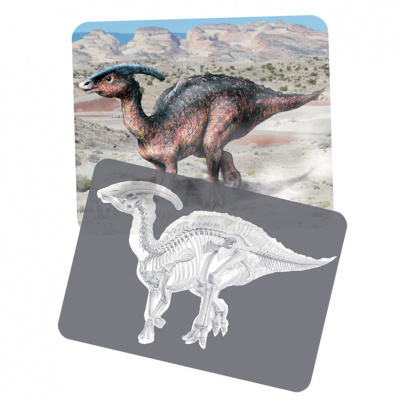 Objavujeme dinosaury