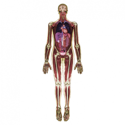 Pozri sa do mňa, celotelový MR sken